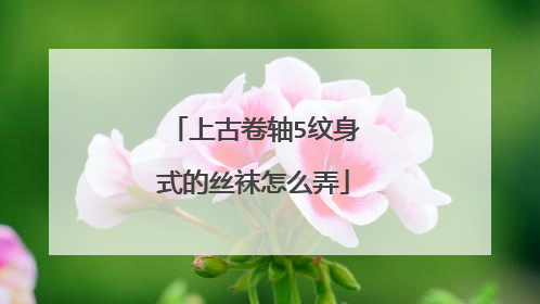 上古卷轴5纹身式的丝袜怎么弄