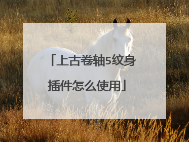 上古卷轴5纹身插件怎么使用