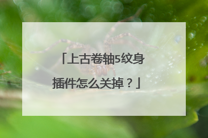 上古卷轴5纹身插件怎么关掉？