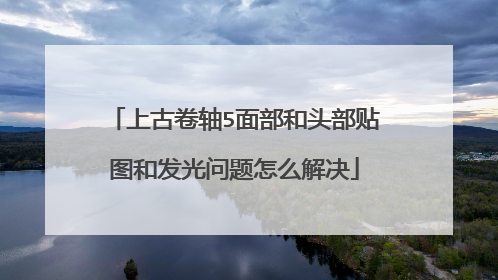 上古卷轴5面部和头部贴图和发光问题怎么解决