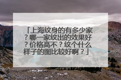 上海纹身的有多少家？哪一家纹出的效果好？价格高不？纹个什么样子的图比较好啊？