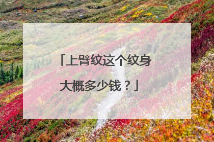 上臂纹这个纹身大概多少钱？