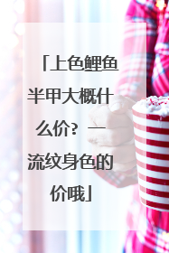上色鲤鱼半甲大概什么价? 一流纹身色的价哦