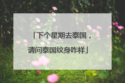 下个星期去泰国，请问泰国纹身咋样