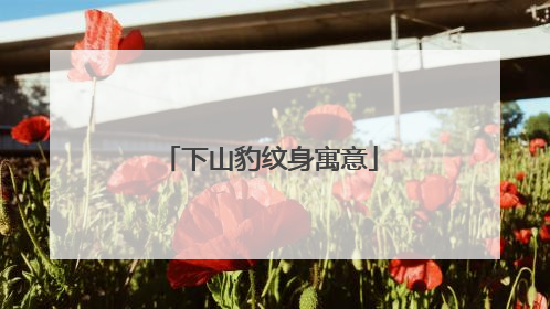 下山豹纹身寓意