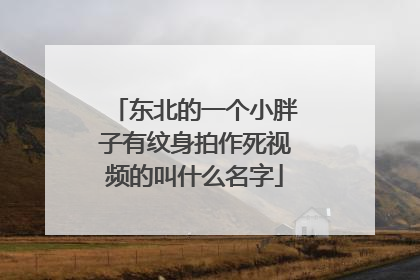 东北的一个小胖子有纹身拍作死视频的叫什么名字