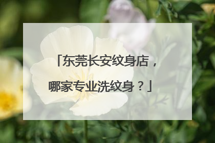 东莞长安纹身店，哪家专业洗纹身？