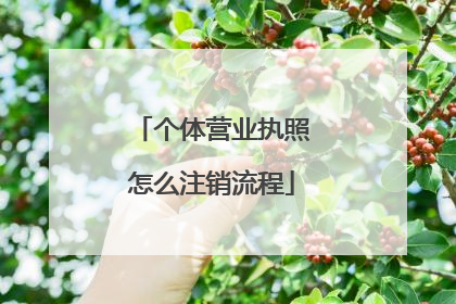 个体营业执照怎么注销流程