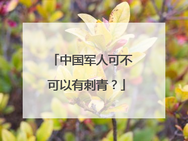 中国军人可不可以有刺青？