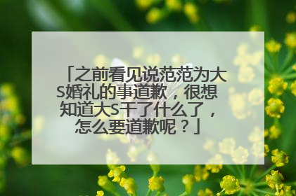 之前看见说范范为大S婚礼的事道歉，很想知道大S干了什么了，怎么要道歉呢？