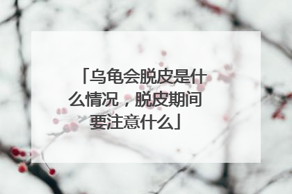 乌龟会脱皮是什么情况,脱皮期间要注意什么