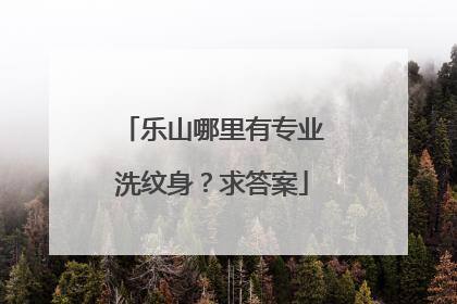 乐山哪里有专业洗纹身？求答案