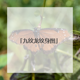 九纹龙纹身图