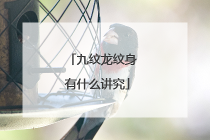九纹龙纹身有什么讲究