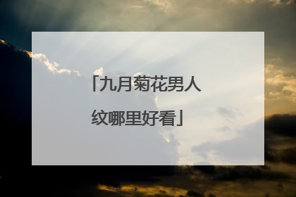 九月菊花男人纹哪里好看