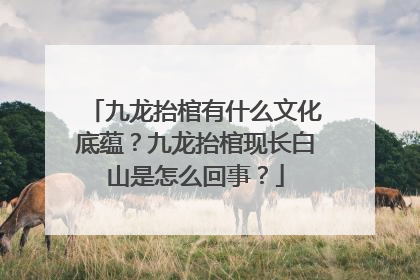 九龙抬棺有什么文化底蕴？九龙抬棺现长白山是怎么回事？