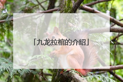 九龙拉棺的介绍