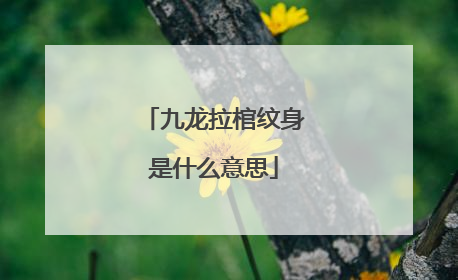 九龙拉棺纹身是什么意思