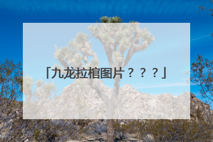 九龙拉棺图片？？？