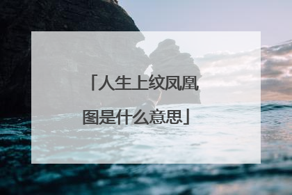 人生上纹凤凰图是什么意思