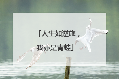 人生如逆旅，我亦是青蛙