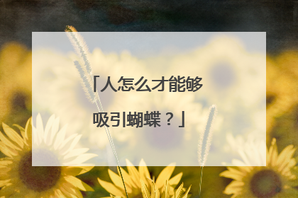 人怎么才能够吸引蝴蝶？