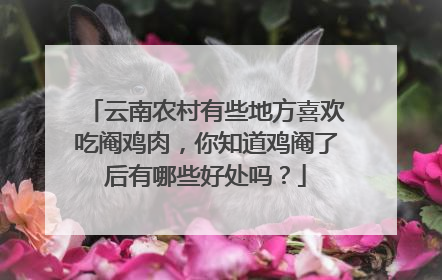 云南农村有些地方喜欢吃阉鸡肉，你知道鸡阉了后有哪些好处吗？