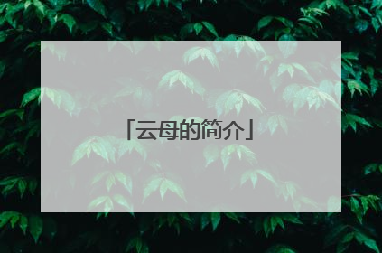云母的简介