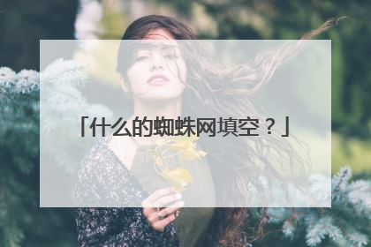 什么的蜘蛛网填空？
