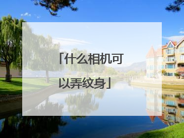 什么相机可以弄纹身