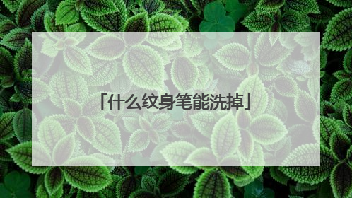 什么纹身笔能洗掉