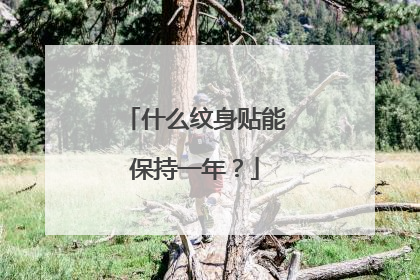 什么纹身贴能保持一年？