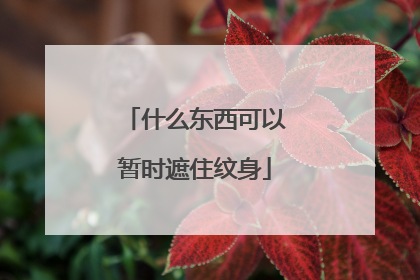 什么东西可以暂时遮住纹身