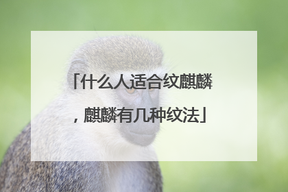 什么人适合纹麒麟，麒麟有几种纹法