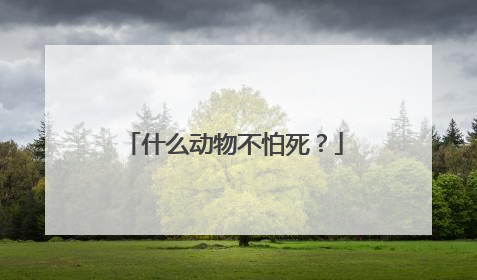 什么动物不怕死？