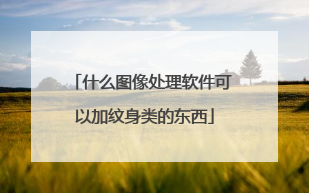 什么图像处理软件可以加纹身类的东西