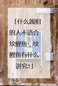 什么属相的人不适合纹鲤鱼，纹鲤鱼有什么讲究!