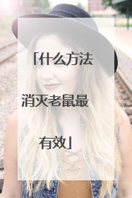 什么方法消灭老鼠最有效