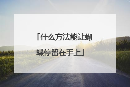 什么方法能让蝴蝶停留在手上