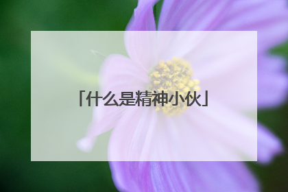 什么是精神小伙