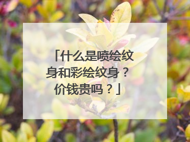 什么是喷绘纹身和彩绘纹身？价钱贵吗？