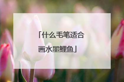 什么毛笔适合画水墨鲤鱼