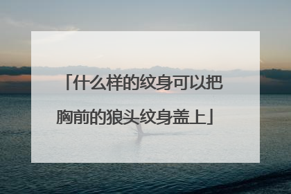 什么样的纹身可以把胸前的狼头纹身盖上