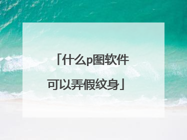 什么p图软件可以弄假纹身