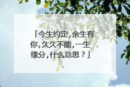今生约定,余生有你,久久不能,一生缘分,什么意思？