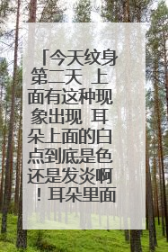 今天纹身第二天 上面有这种现象出现 耳朵上面的白点到底是色还是发炎啊！耳朵里面那是化脓还是结痂！