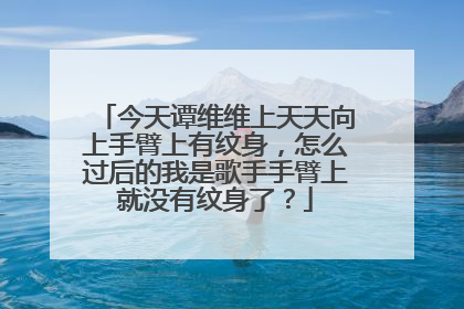 今天谭维维上天天向上手臂上有纹身，怎么过后的我是歌手手臂上就没有纹身了？