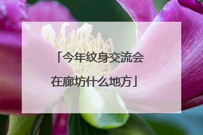 今年纹身交流会在廊坊什么地方
