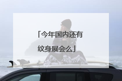 今年国内还有纹身展会么