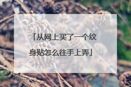 从网上买了一个纹身贴怎么往手上弄